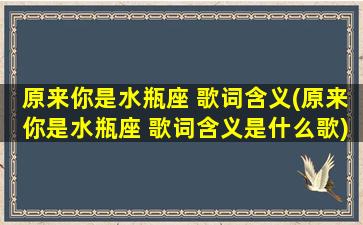 原来你是水瓶座 歌词含义(原来你是水瓶座 歌词含义是什么歌)